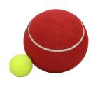 giant inflatable ball inside