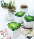 Home Decor Fake Potted Cactus , 11cm Artificial Succulent Plants Durable