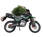 250cc new tekken 250cc RE250 engine motorbike hot selling wholesale Chopper