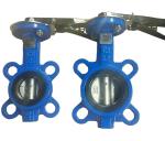 China GG20 cast iron DIN standard butterfly valve