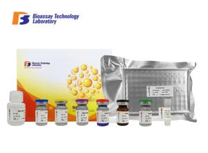 Quality Customized Bovine ELISA Kits Beta - Hydroxybutyric Acid BHBA 2 Hours Assay Length wholesale