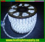 Indoor&outdoor flexible led rope curtain 12/24v 1/2'' 2 wire dura lights