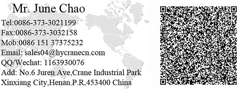 3-10t Low Headroom Overhead Crane with Electric Hoist (LDP)