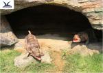 Customization Realistic Garden Animals Stomach Breathing / Vivid Dinosaur Yard