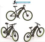 48V 10.4AH Electric Bike Lithium Battery 2A Charger Imported Samsung Cell