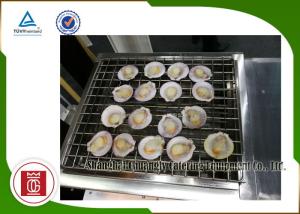Quality Oyster Commercial Barbecue Grills Electric Smokeless Grill Restaurant Hotel wholesale