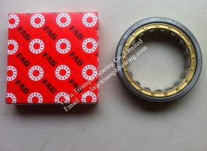 Quality FAG Cylindrical Rolller Bearing RNU1020M1 wholesale