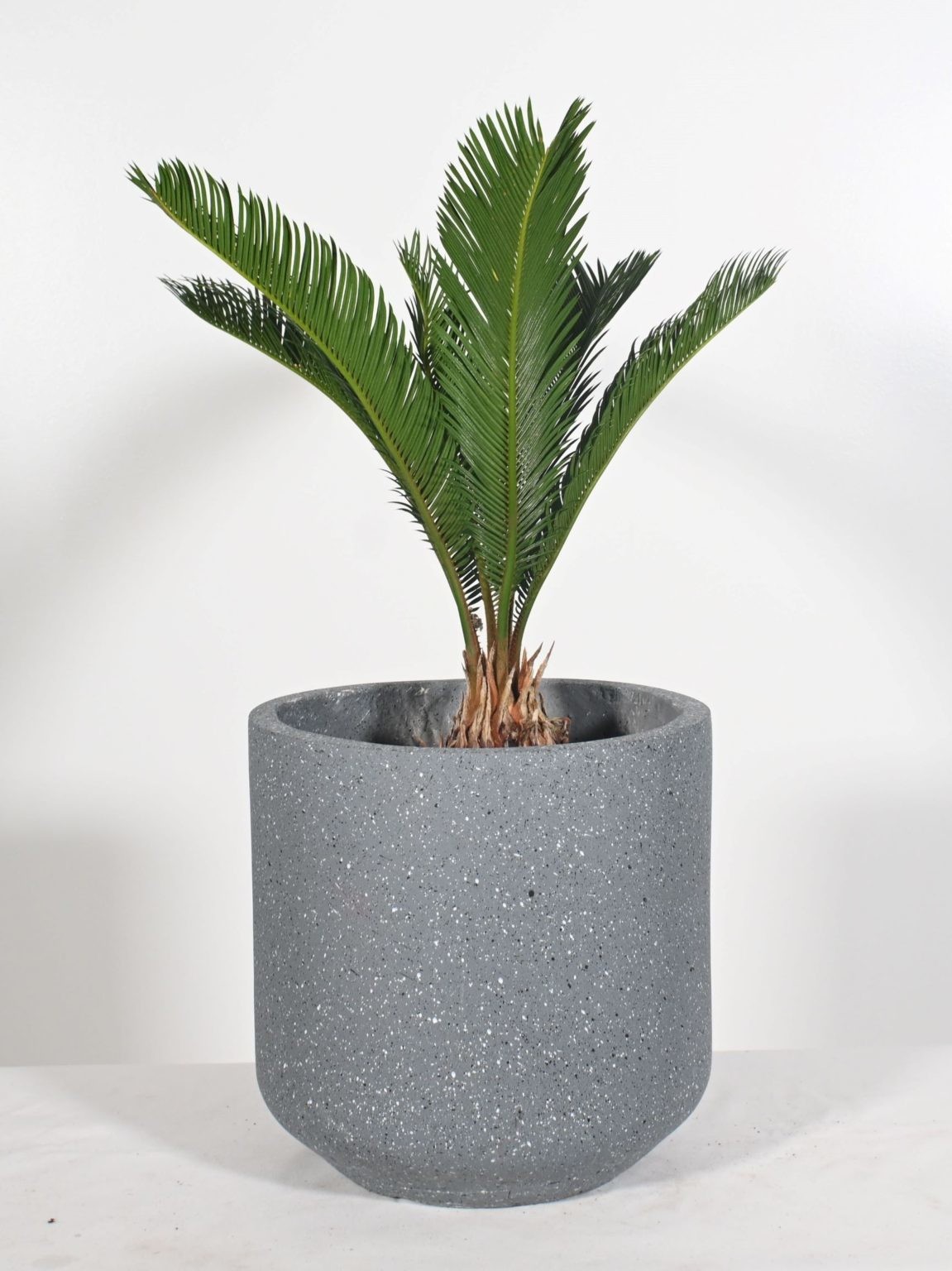 Frost Resistant Patio Fiber Clay Planters Round Shape