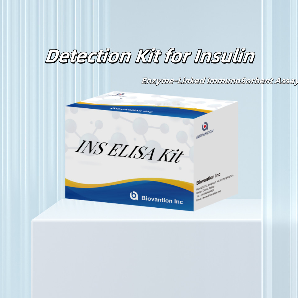 Detection Kit For Insulin INS For Human Detect Reagent For Human Serum