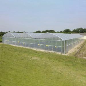 Quality Galvanized Steel Pipe Plastic Film Greenhouse Agricultural Multi Span wholesale