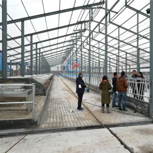 Quality Light Steel Structure Cow Shed Prefabricated Steel Frame Farm Buildings wholesale