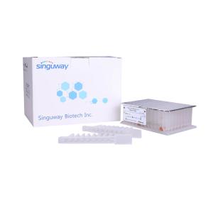 Quality Nucleic Acid Viral DNA Purification Kit Magnetic Beads RNA Purification Kit Singuway wholesale