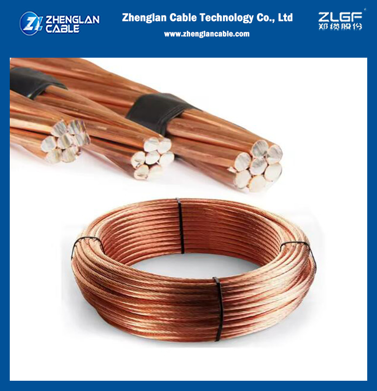 Customized Size Copper Weld Ccs Wire Earth Ground Wire Clad Steel Grade AAA 4.0mm Copper Clad Steel Wire CCS Wire