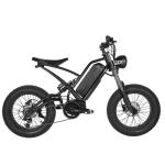 Off-Road Electric Fat Tire Bike Rear Hub Motor 20" Wheel Size for Exciting