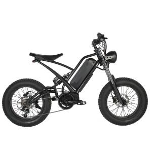 Quality 48v 750w Mid Drive Motor E-Bike with Aluminum Alloy Frame and 22.5 Ah Battery Capacity wholesale