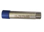 1/2" Welding DIN2999 Dnl200 Threaded Pipe Nipples