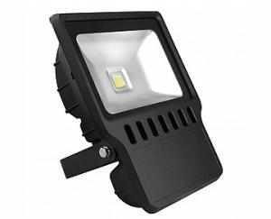 China 100W led flood light,50W led flood light F100WB on sale
