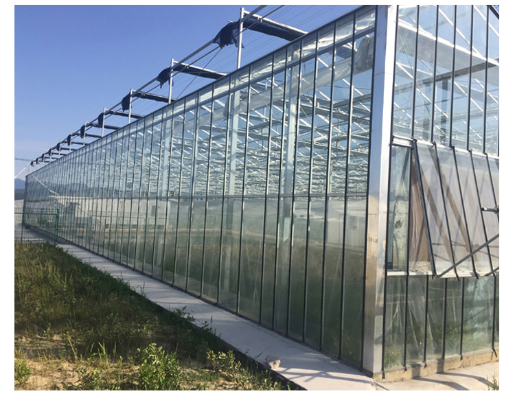 Instruction for Agricultural Glass Hydroponics System Commercial Greenhouses Frame