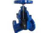 Hard Seal Flange Ductile Iron Gate Valve PN16 Metal Seat Stem Gate Valve