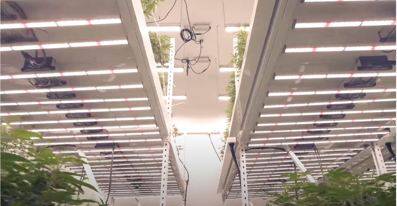 660nm 4000K Horticulture LED Grow Lights With UV