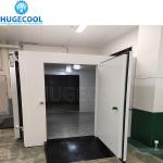 Freezer Cold Room For Frozen Fish Storage