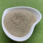 Single Cell Protein Feed Probiotics Lysine Fermentation Bacterial Protein