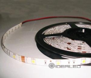Quality 30leds Epistar chip SMD5050 LED strip cool white, drip PU glue wholesale