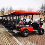 Red Steel Frame 4 Seater Golf Cart Electric LSV With LED Lighting And LCD