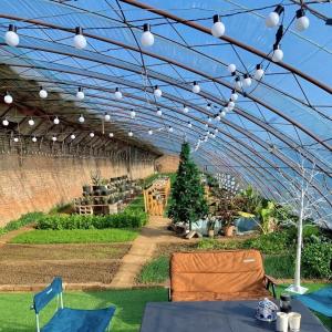 Quality Package Gross Weight 100.000kg Sunlight Greenhouse Drip Irrigation for Flower Planting wholesale