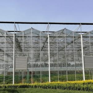 Quality Farming Venlo Aluminum Frame Glass Greenhouse For Agriculture Growing wholesale