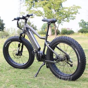 Quality Fat City E Bike With TEKTRO Hydraulic Disc Brake CE RoHS Certificate wholesale
