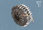 6NM DC24V 0.3A Eddy Current Brake 1800 Speed With 2 Years Warranty Flange Powder
