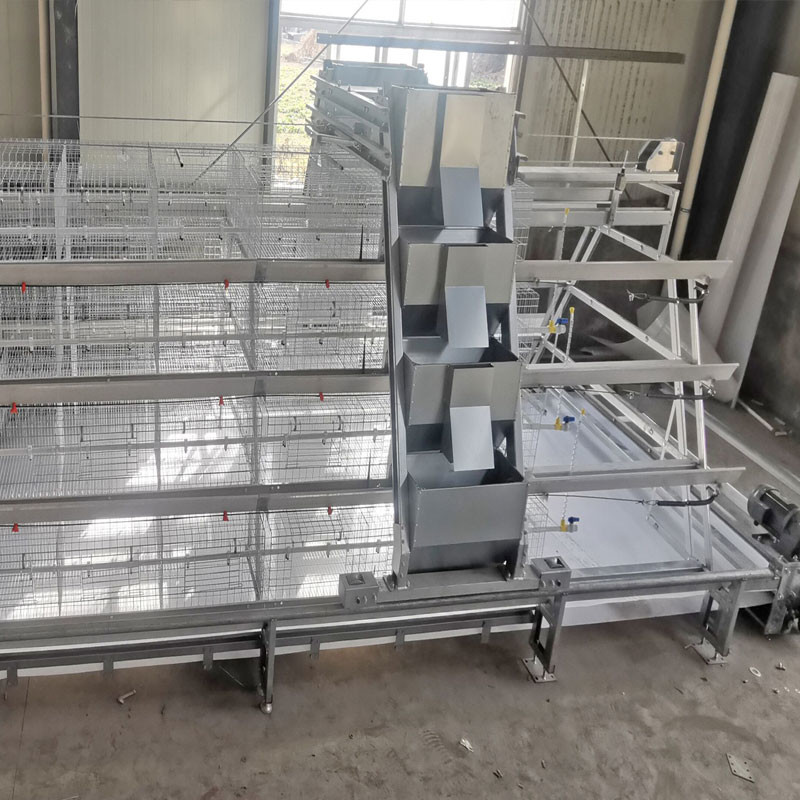 Full Automatic Manure Cleaning System Baby Chick Cage