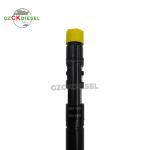 Fuel Injector EJBR03001D 33801-4X900 33800-4X900 EJBR02501Z For Delphi KIA