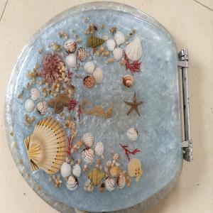 Quality ROUND polyresin toilet seat,Elongated toilet seat,colorful transparent resin toilet seat wholesale