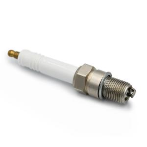 Quality Engine Spare Part Replacement For CHAMPION RB77CC wholesale