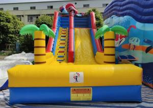 Quality Lyons new design outdoor commercial large inflatable bouncer water slide for kids wholesale