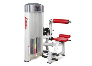 Quality Commercial Grade Gym Life Fitness Strength Equipment For Back Extension wholesale