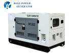 Kofo Ricardo Weifang Power Diesel Generator