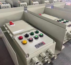 Quality Iibt4 Exd Ip66 Flameproof Control Panel Distribution wholesale