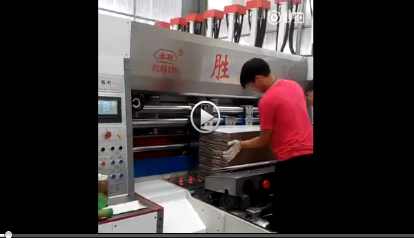 Automatic Feeder Multicolor Flexographic Box Printing Machine CE ISO Approval