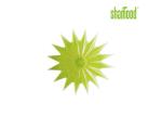 Plastic Air Freshener Scented Starfish with Stick in Car & Home Windows ​