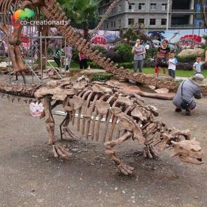 Quality Park Decoration Dinosaur Skeleton Replica Life Size Sunproof wholesale