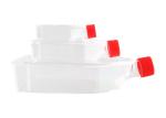 Culture Flask Plastic Tissue Cell Culture Flask Radical Factory