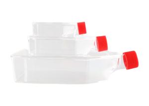 Quality Culture Flask Plastic Tissue Cell Culture Flask Radical Factory wholesale