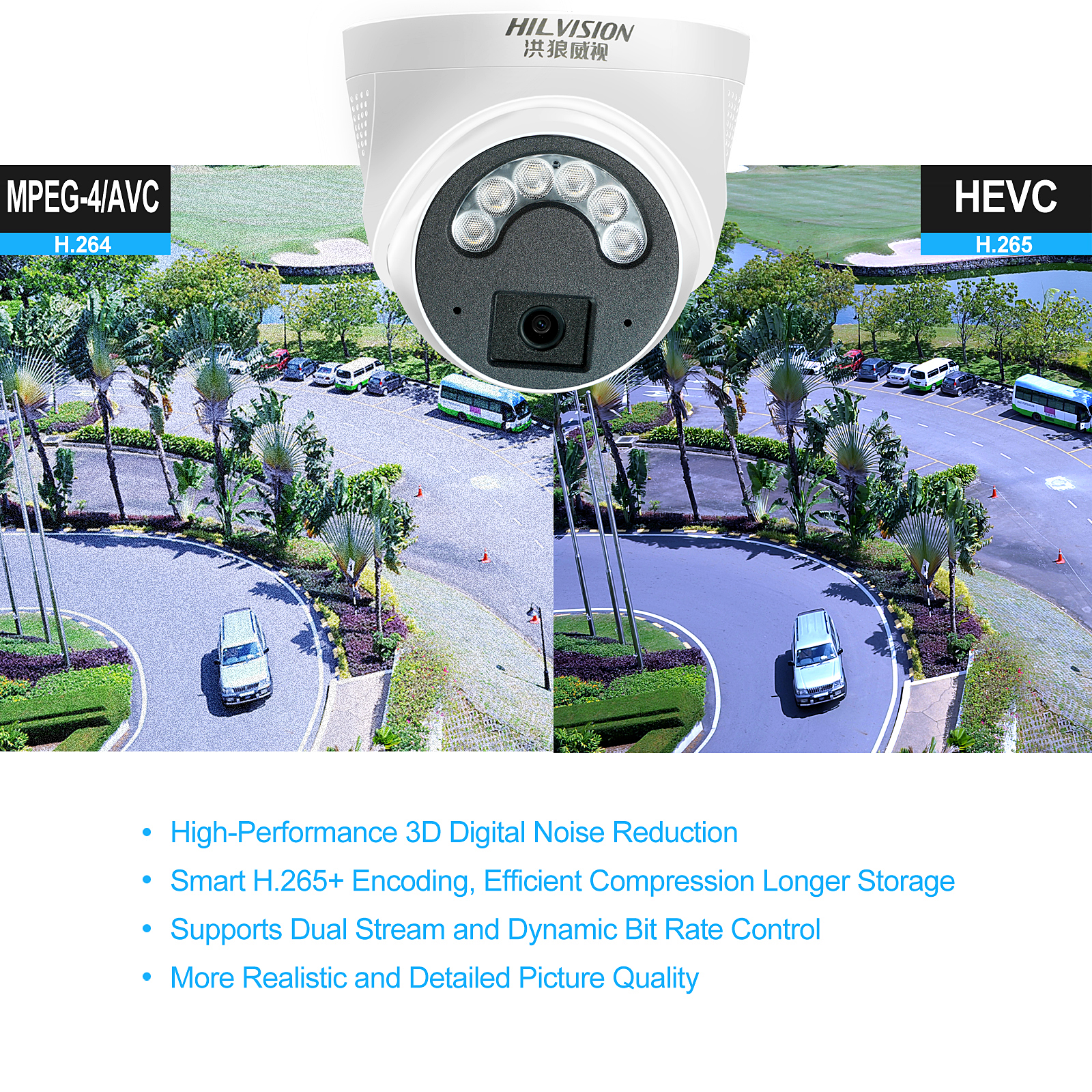 Day Night Indoor ICR Infrared CMOS Sensor Cloud Service Vision Memory/SD Card Security Camera