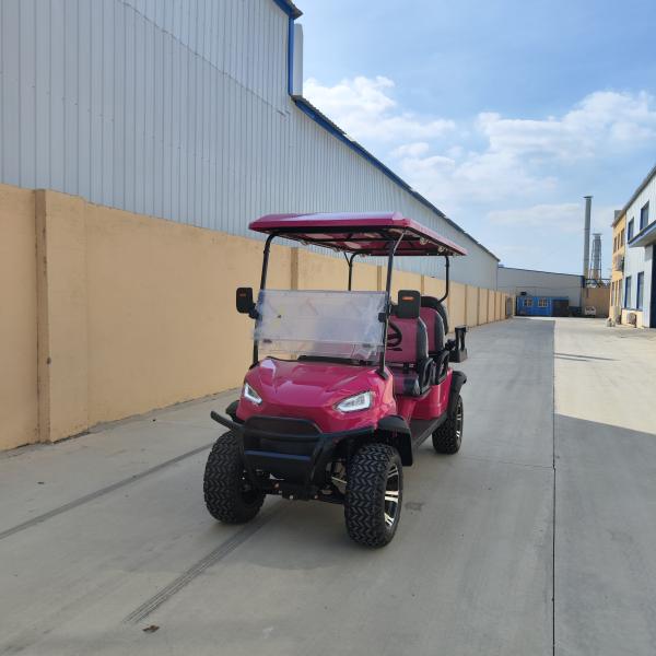 4+2 Seat Golf Cart Appearance Fashionable Design High-End Hot Sales 3.5/4/7Kw