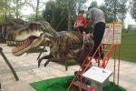 Attractive Animatronic Dinosaur Ride Coin / Remote Control / Battery Operated