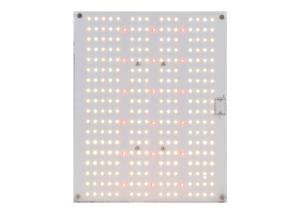 Quality DIY Light Kit IP67 640nm Quantum Grow Lights wholesale