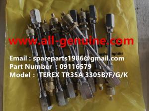 Quality TEREX 09116579 MINING QUARRY NHL RIGID DUMP TRUCK TR35 TR50 TR60 TR100 3303 3305B 3307 3311 wholesale